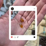 کهربای بالتیک